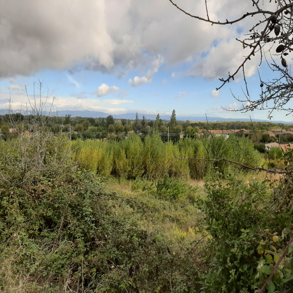 Offres de vente Terrain Carcassonne 11000