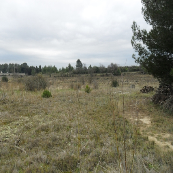 Offres de vente Terrain Aigues-Vives 11800