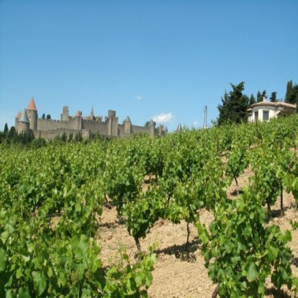 Offres de vente Maison Carcassonne 11000