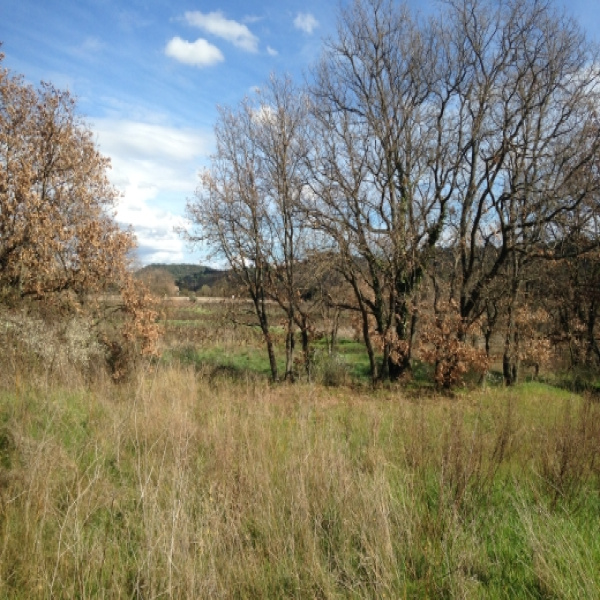 Offres de vente Terrain Carcassonne 11000
