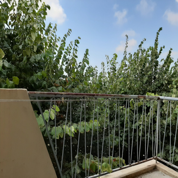 Offres de vente Appartement Carcassonne 11000