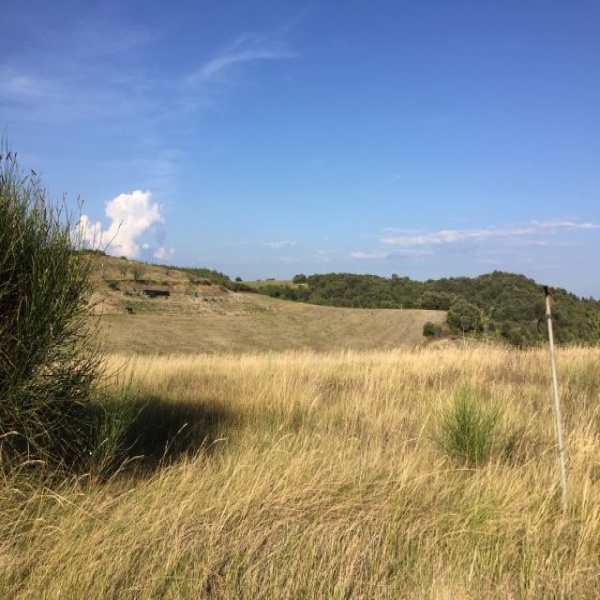 Offres de vente Terrain Carcassonne 11000